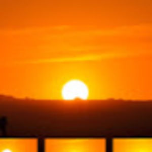 Meet your Posher, Kynsley